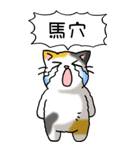 難読漢字と猫 その1（個別スタンプ：18）