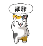 難読漢字と猫 その1（個別スタンプ：21）