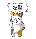 難読漢字と猫 その1（個別スタンプ：22）
