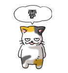 難読漢字と猫 その1（個別スタンプ：23）