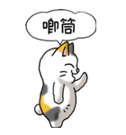 難読漢字と猫 その1（個別スタンプ：28）