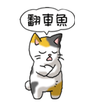 難読漢字と猫 その1（個別スタンプ：30）