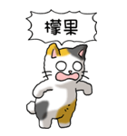 難読漢字と猫 その1（個別スタンプ：31）