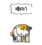 難読漢字と猫 その1（個別スタンプ：34）