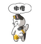 難読漢字と猫 その1（個別スタンプ：38）