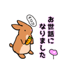 うさぎで毎日はなまる（個別スタンプ：11）