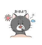 ゆるいねこさんのスタンプ-カラフル-（個別スタンプ：21）