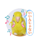 マメルリハ達4（個別スタンプ：1）