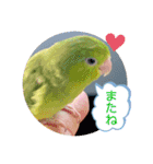 マメルリハ達4（個別スタンプ：7）