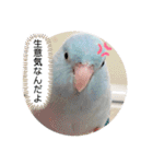 マメルリハ達4（個別スタンプ：10）