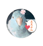 マメルリハ達4（個別スタンプ：16）