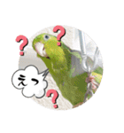 マメルリハ達4（個別スタンプ：23）