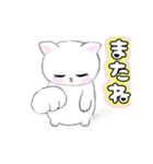 ❤️ずっと使える動く可愛い白猫アニメ（個別スタンプ：24）