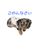 ココ＆のあスタンプ1（個別スタンプ：8）