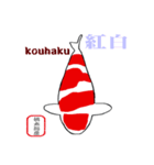 2023若鯉品評会 国魚編NO1（個別スタンプ：4）