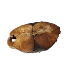 食品シリーズ : ママの揚げ魚（個別スタンプ：7）