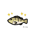 毎日使える お魚スタンプ（九州編）（個別スタンプ：7）