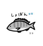毎日使える お魚スタンプ（九州編）（個別スタンプ：24）