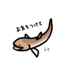 毎日使える お魚スタンプ（九州編）（個別スタンプ：26）
