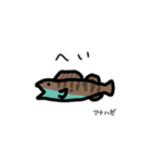 毎日使える お魚スタンプ（九州編）（個別スタンプ：28）