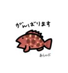 毎日使える お魚スタンプ（九州編）（個別スタンプ：29）