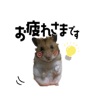 蓮＆チップ（個別スタンプ：3）