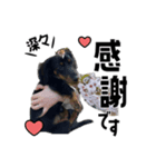 蓮＆チップ（個別スタンプ：4）