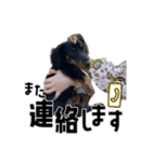 蓮＆チップ（個別スタンプ：6）