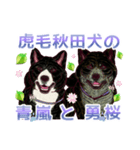 虎毛秋田犬の青嵐と勇桜。（個別スタンプ：28）