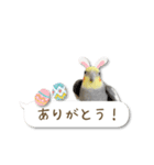 オカメインコこはくちゃん【春】吹き出し（個別スタンプ：14）