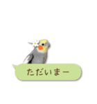 オカメインコこはくちゃん【春】吹き出し（個別スタンプ：28）