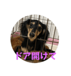 るいのまる（個別スタンプ：9）