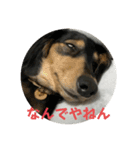 るいのまる（個別スタンプ：10）