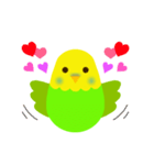 インコとハート（個別スタンプ：3）