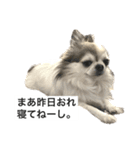 再び喋るおちち（個別スタンプ：5）