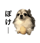 再び喋るおちち（個別スタンプ：7）