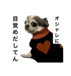 再び喋るおちち（個別スタンプ：10）