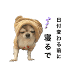 再び喋るおちち（個別スタンプ：15）