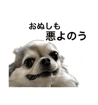 再び喋るおちち（個別スタンプ：17）