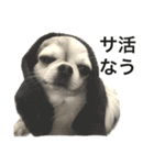 再び喋るおちち（個別スタンプ：28）