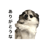 再び喋るおちち（個別スタンプ：30）