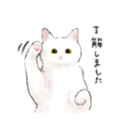 うちの子白猫！(にほんねこ)（個別スタンプ：2）