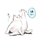 うちの子白猫！(にほんねこ)（個別スタンプ：3）