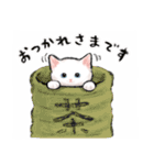 うちの子白猫！(にほんねこ)（個別スタンプ：16）