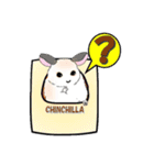 ちんちらChila（個別スタンプ：17）