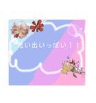 ミィちゃんのインコスタンプ！！（個別スタンプ：7）
