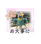 ミィちゃんのインコスタンプ！！（個別スタンプ：14）