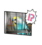 ミィちゃんのインコスタンプ！！（個別スタンプ：15）
