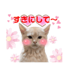 キュンだらけ（個別スタンプ：11）