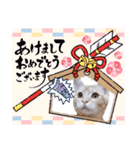 キュンだらけ（個別スタンプ：36）